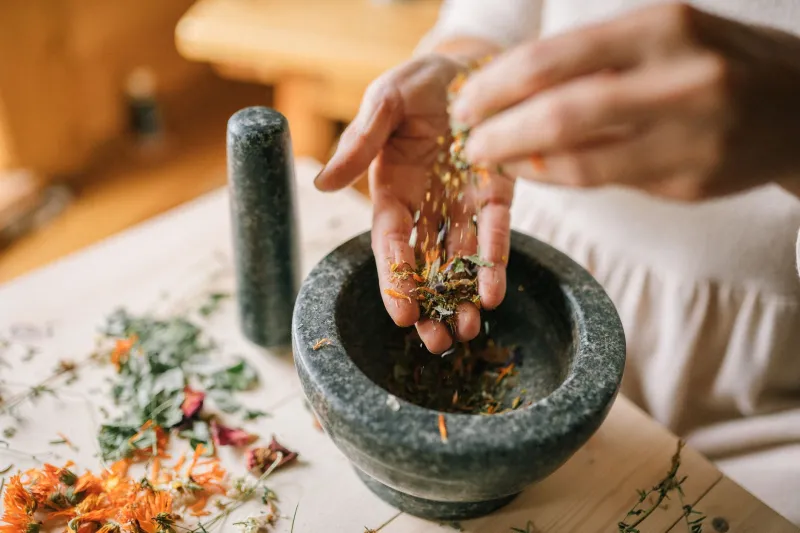 Four Seasons, One Body: How Japanese Medicine Tailors Your Health to Nature's Calendar