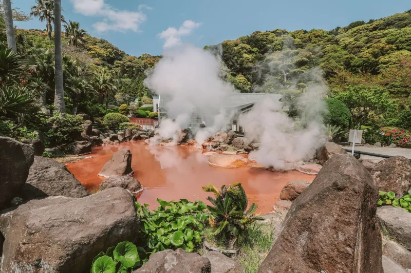 When Discomfort Is the Cure: How Japan's Thermal Bathing Cycles Heal Inflammation at the Cellular Level