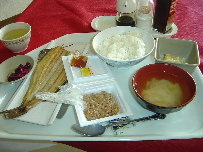 Rhythm Over Restriction: Why the Clock on Your Plate Matters More Than the Diet on Your Shelf